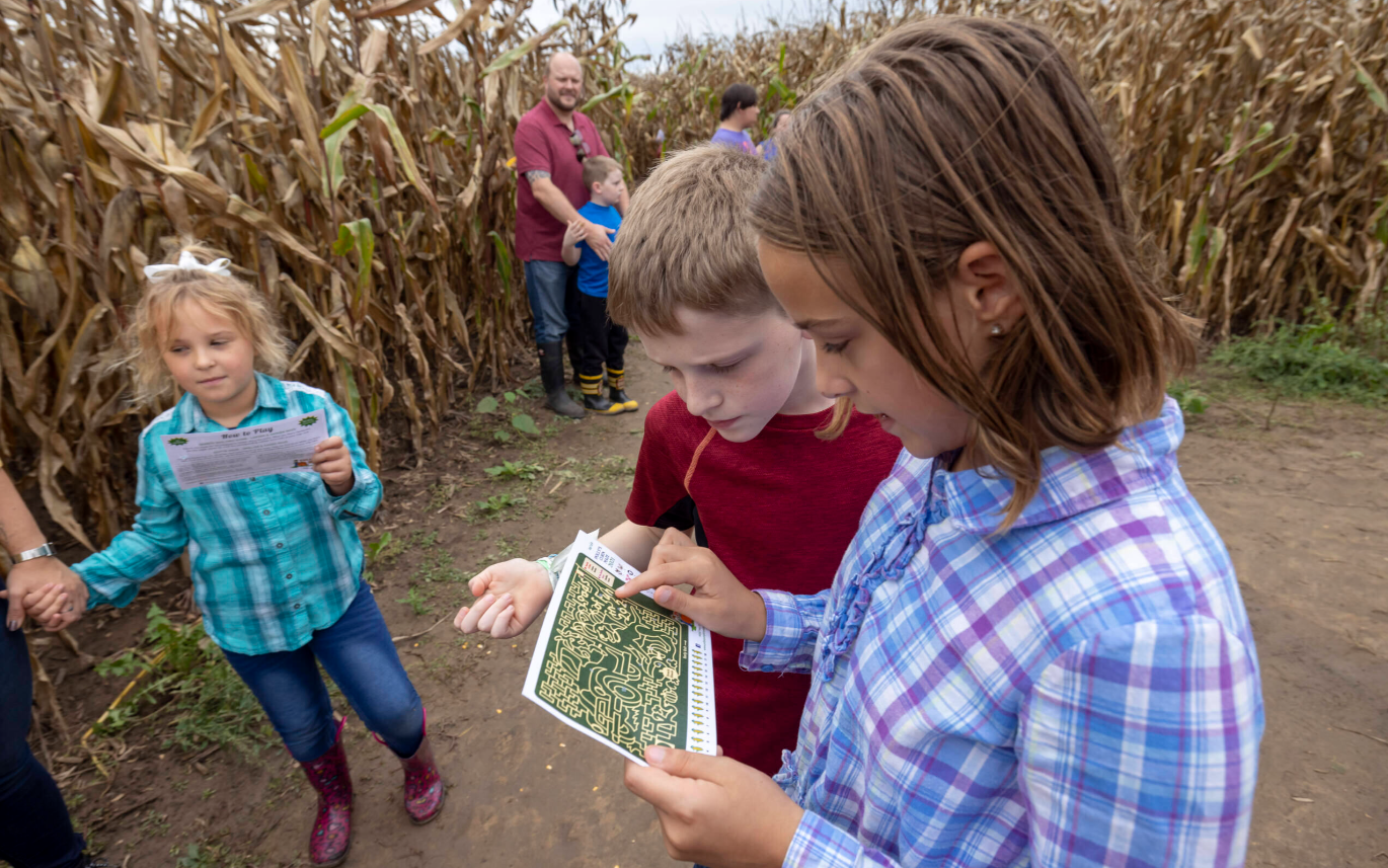 kids in corn maze