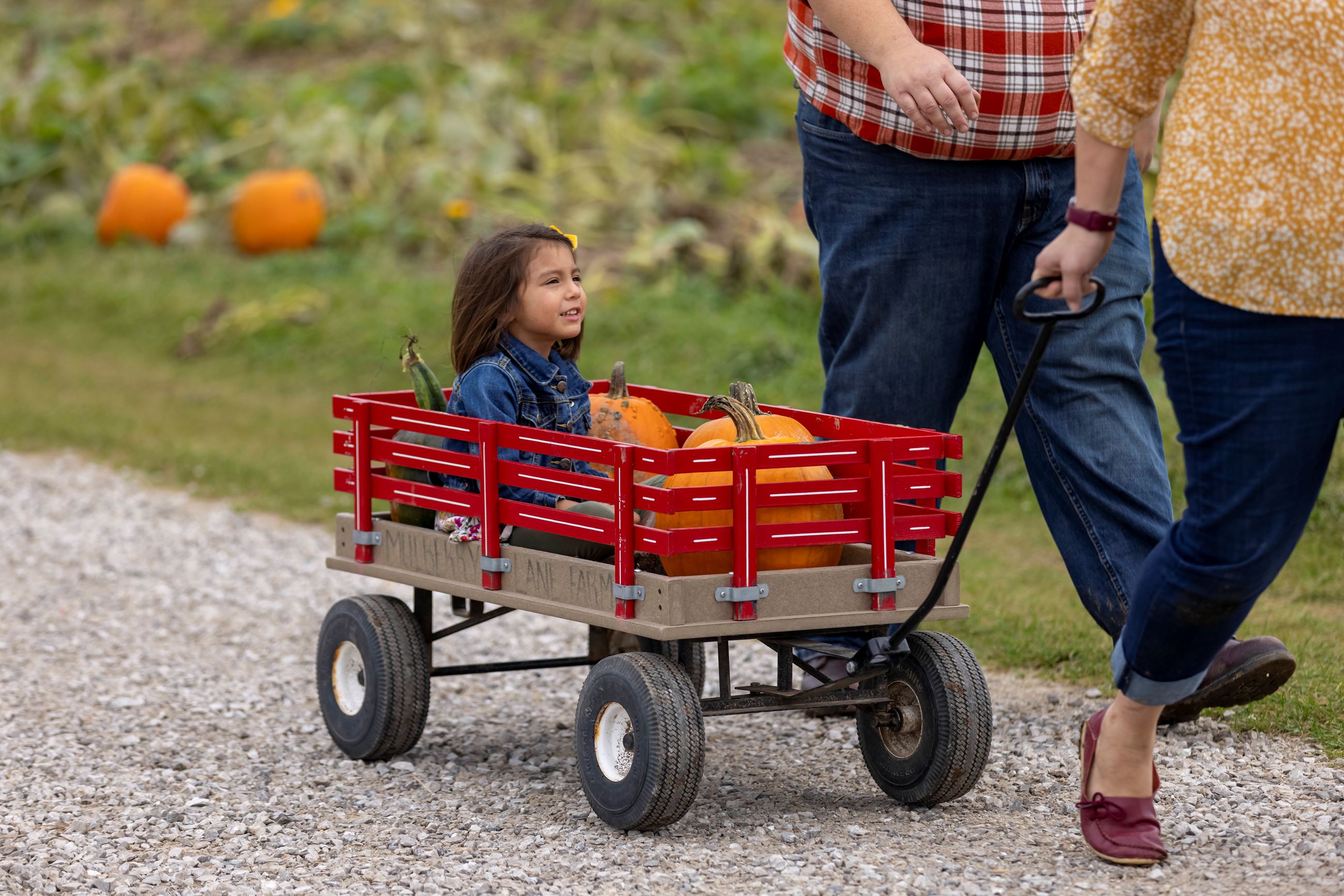 Little girl riding in wagon with pumpkins